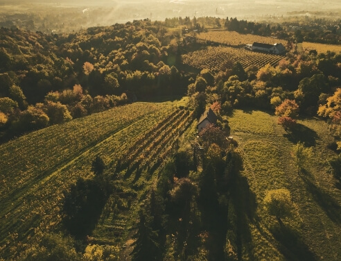 Weinkarte